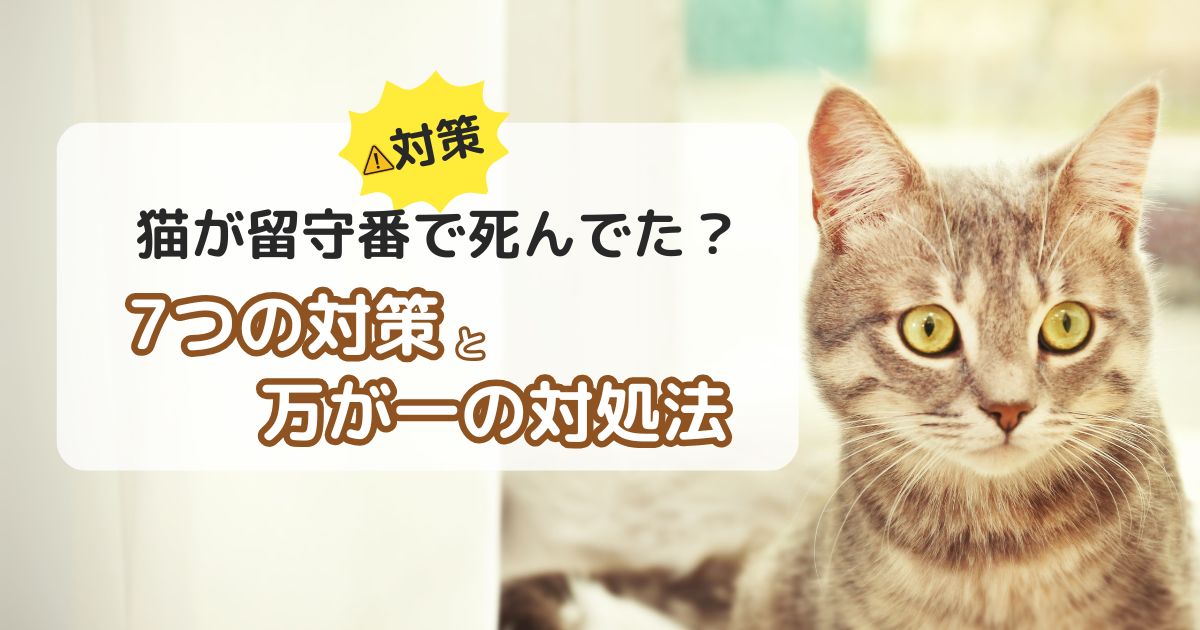 猫が留守番で死んでた？危険な死亡事故を防ぐ7つの対策と万が一の対処法
