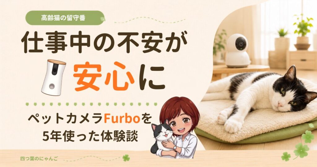 Furboを5年間使った体験から、高齢猫の見守りに役立つ機能や料金、使ってよかった理由を紹介します。