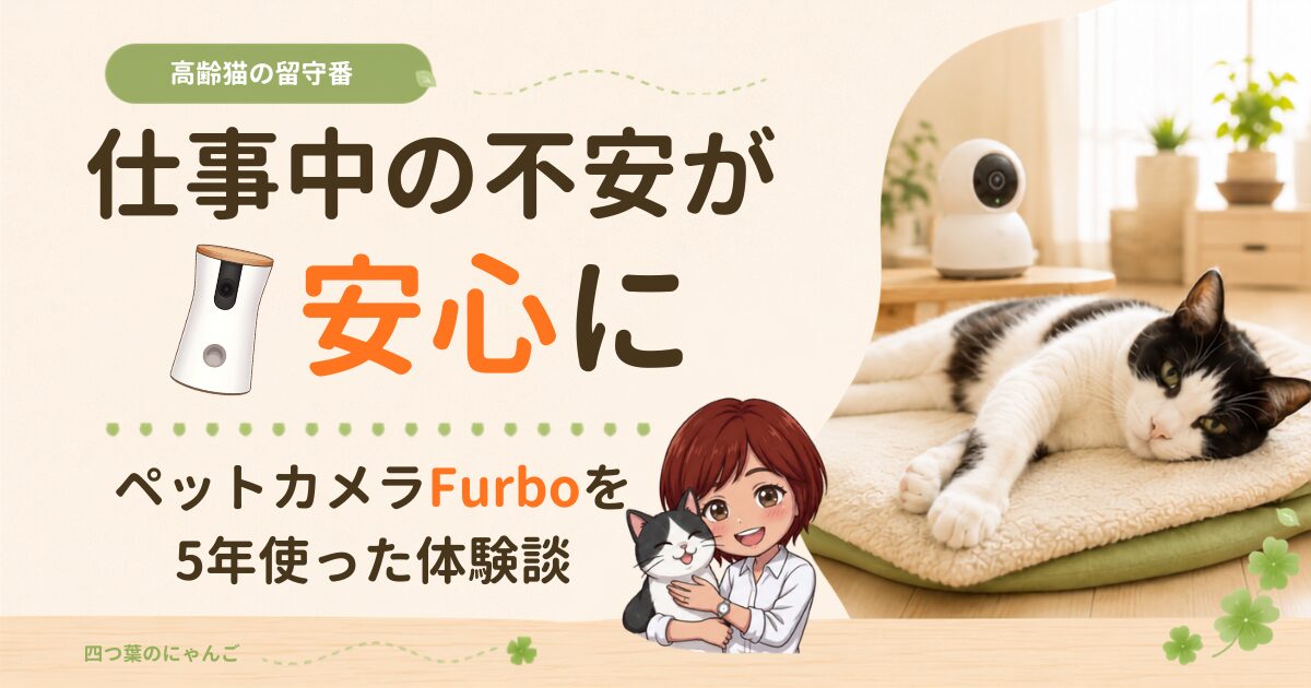 Furboを5年間使った体験から、高齢猫の見守りに役立つ機能や料金、使ってよかった理由を紹介します。