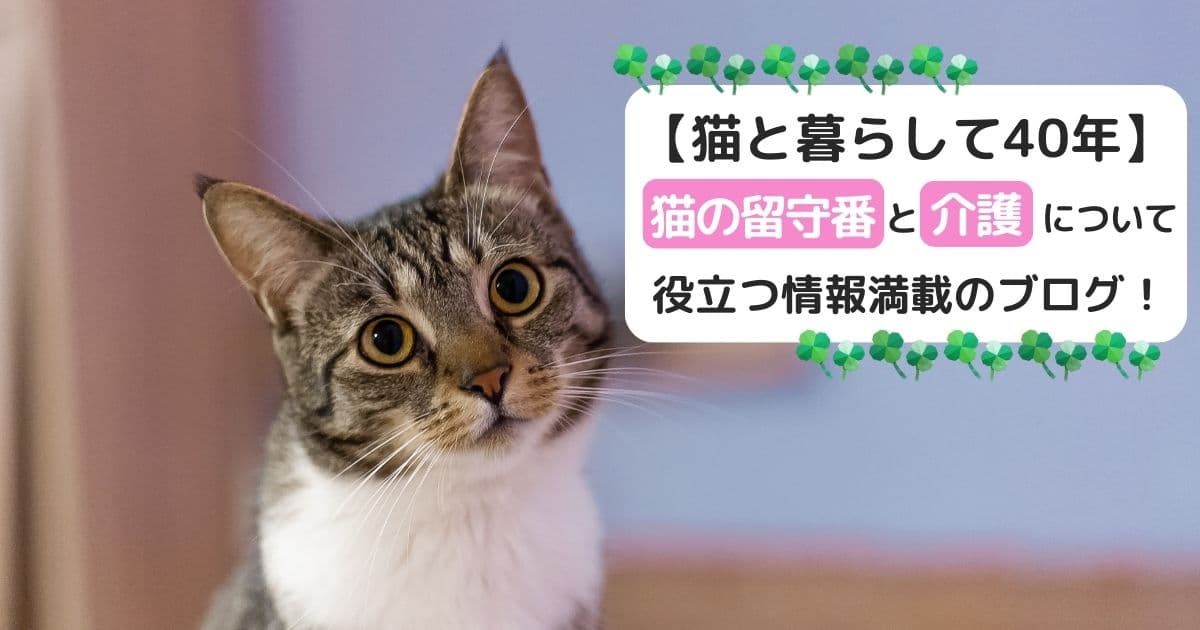 猫と暮らして40年。猫の留守番と介護についてのブログ