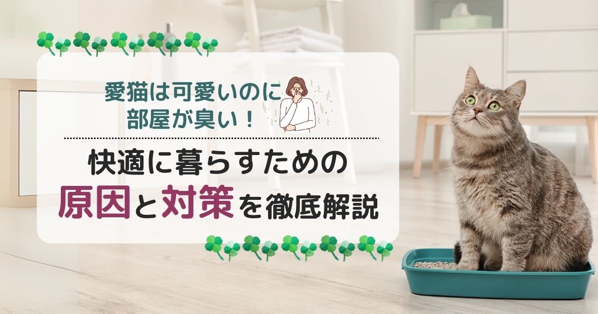 愛猫は可愛いのに部屋が臭い！快適に暮らすための原因と対策を徹底解説！