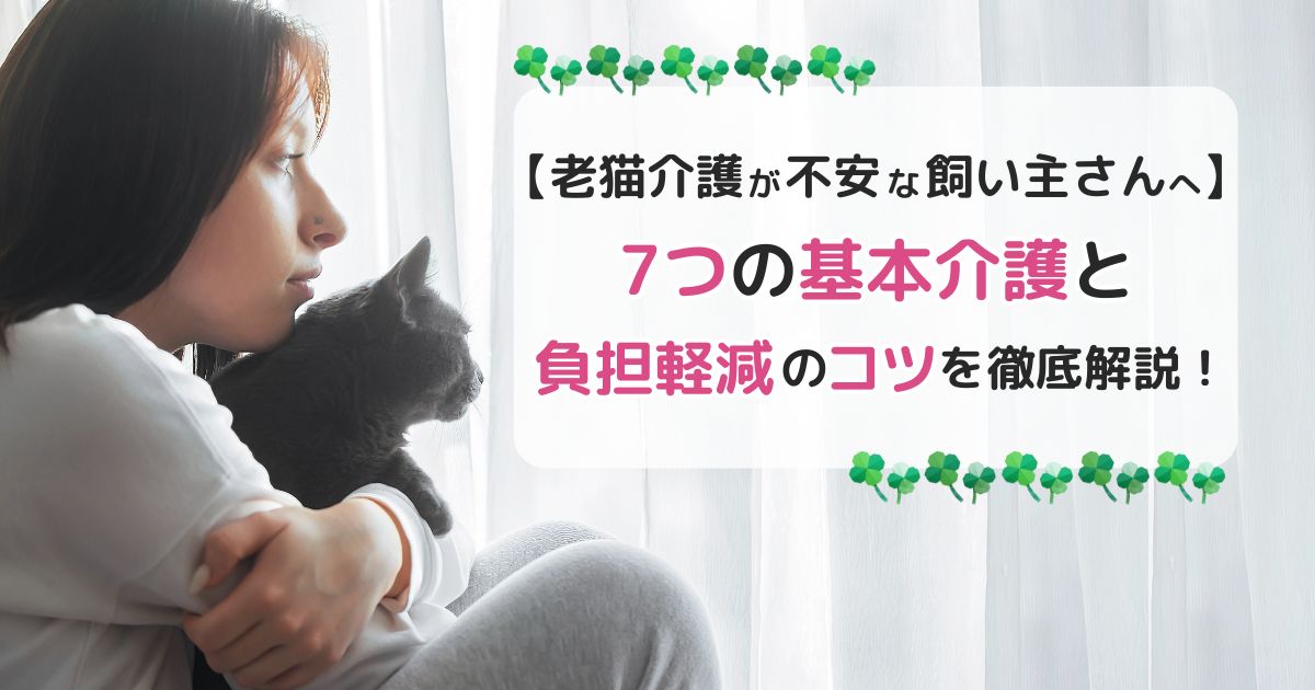 【老猫介護が不安な飼い主さんへ】7つの基本介護と負担軽減のコツを徹底解説！