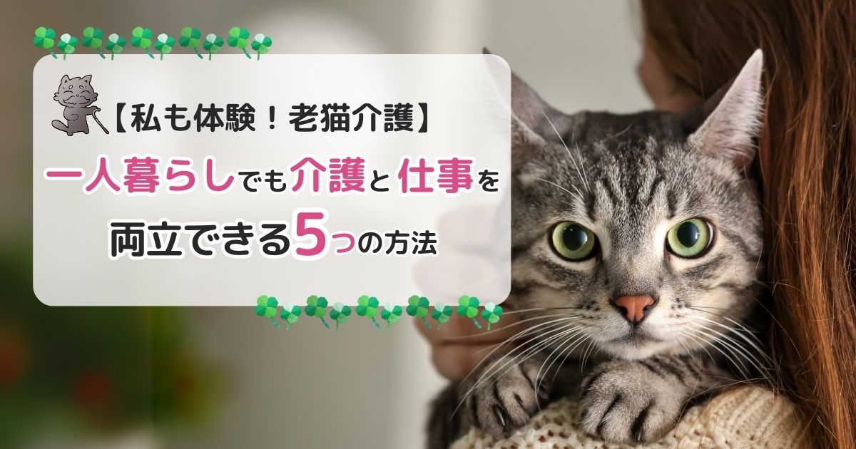 【私も体験！老猫介護】一人暮らしでも介護と仕事を両立できる５つの方法