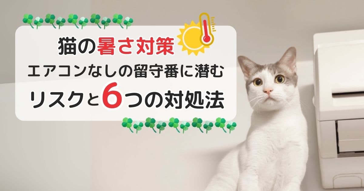 【夏の心配を解消】猫の暑さ対策＆エアコンなしの留守番に潜むリスクと6つの対処法