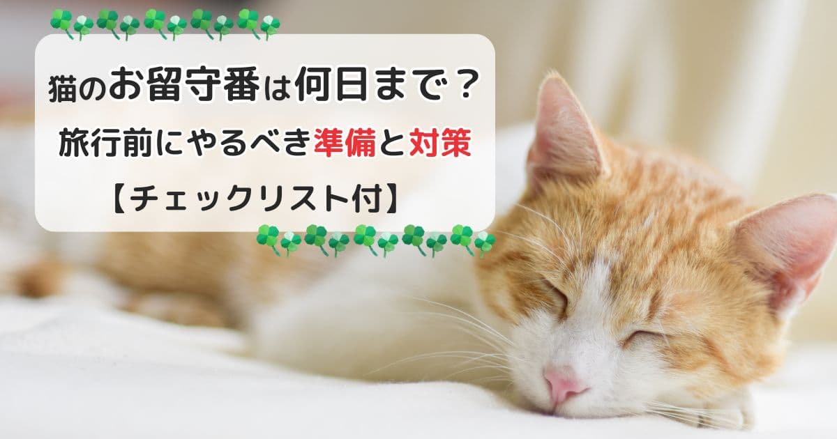 猫のお留守番は何日まで？旅行前にやるべき準備と対策【チェックリスト付】