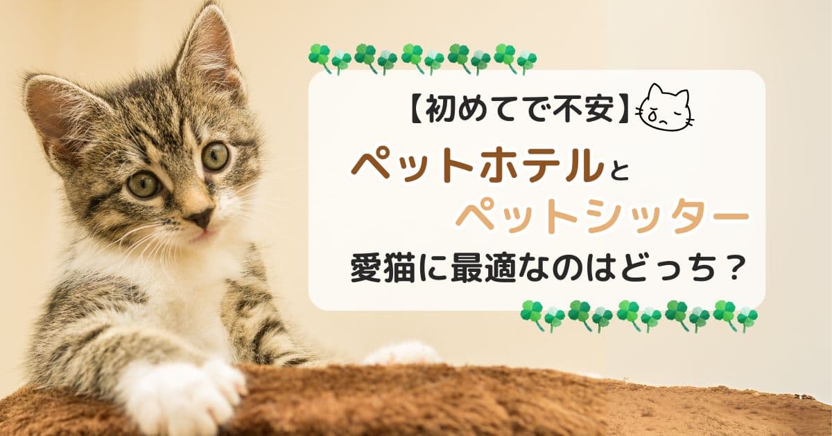 【初めてで不安】ペットホテルとペットシッター：愛猫に最適なのはどっち？