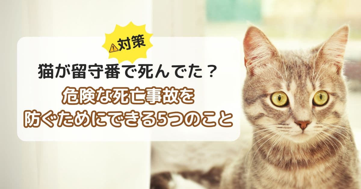 【対策】猫が留守番で死んでた？危険な死亡事故を防ぐためにできる5つのこと