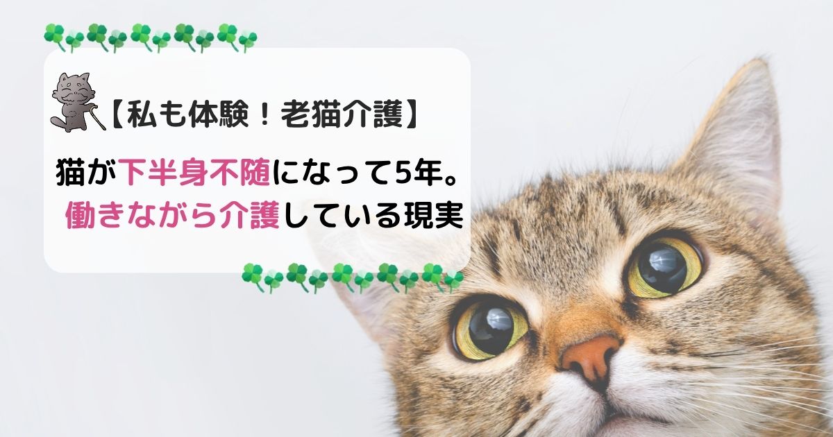 猫がか半身不随になって5年。働きながら介護している現実
